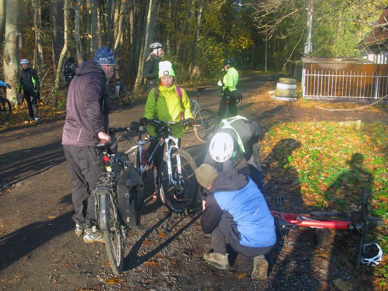 Съезд в Ладушкинский лес.