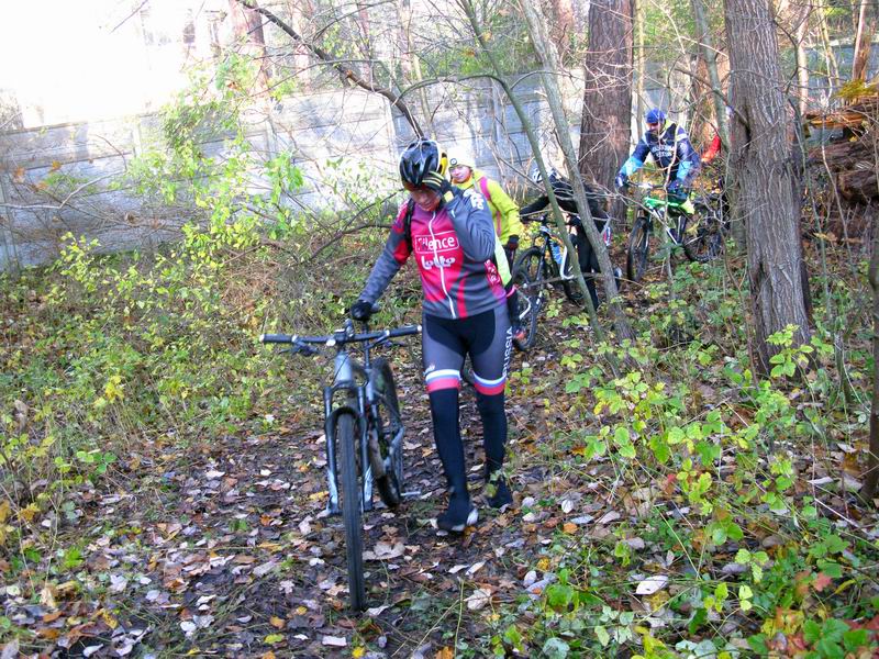 Обходим большое упавшее дерево.