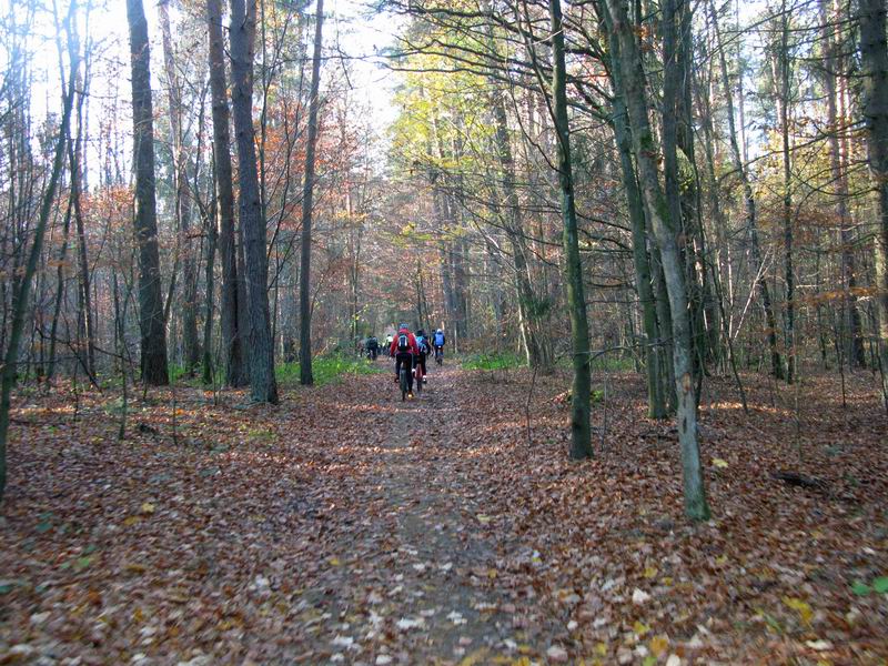 Золотая осень.