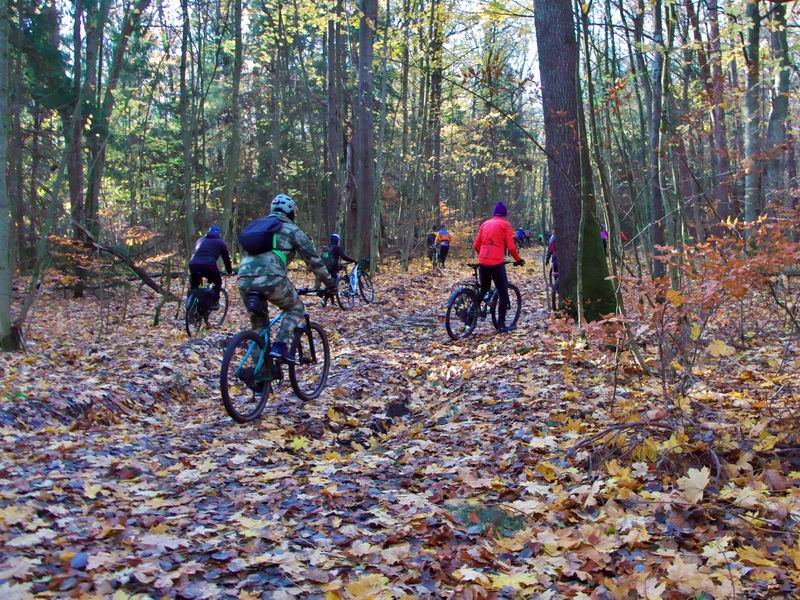 Осенние краски Ладушкинского леса.