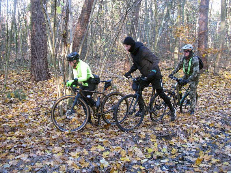 Неровный участок в низине.