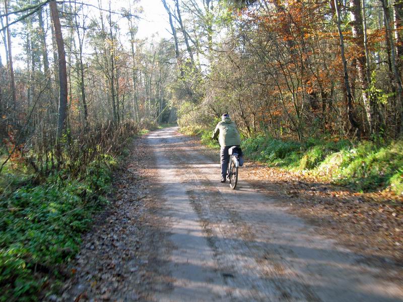 Маргарита Пономарёва на дороге в Сосновый бор.
