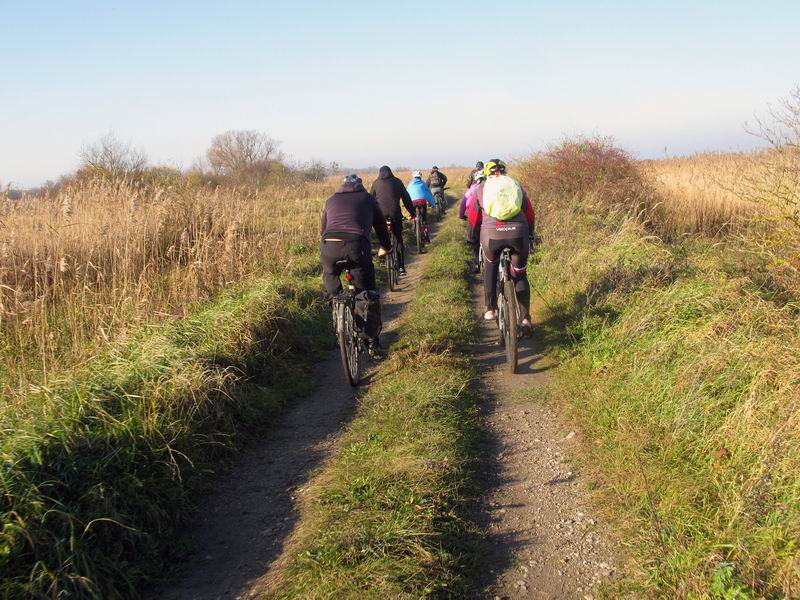 Дорога по дамбе.