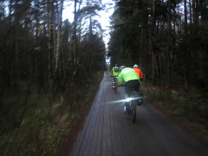 Едем по дороге из плитки через Городской лес