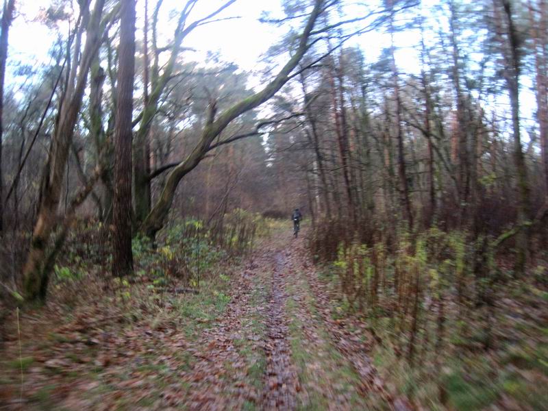 Наша дорога после пересечения трассы на Люблино