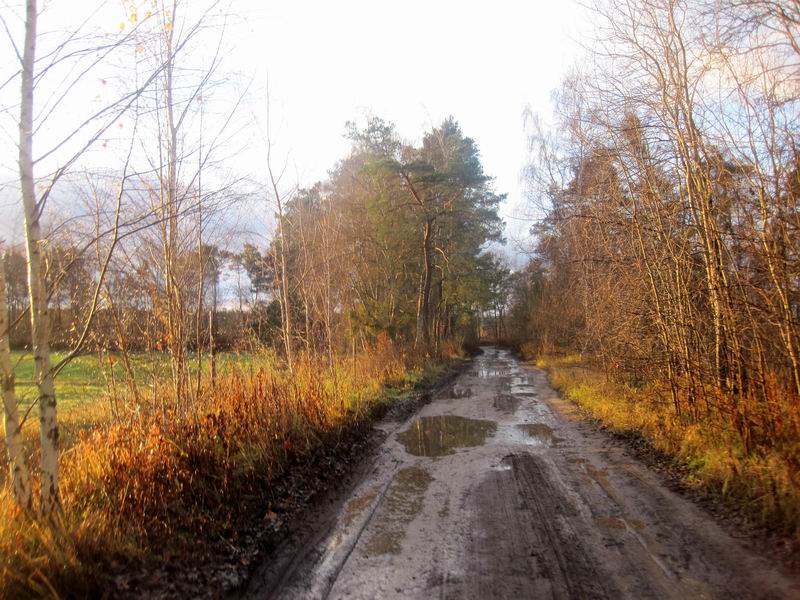 Едем по грязной грунтовке