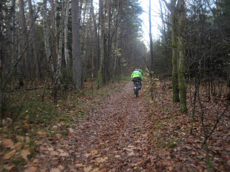 Едем по Балтийскому лесу