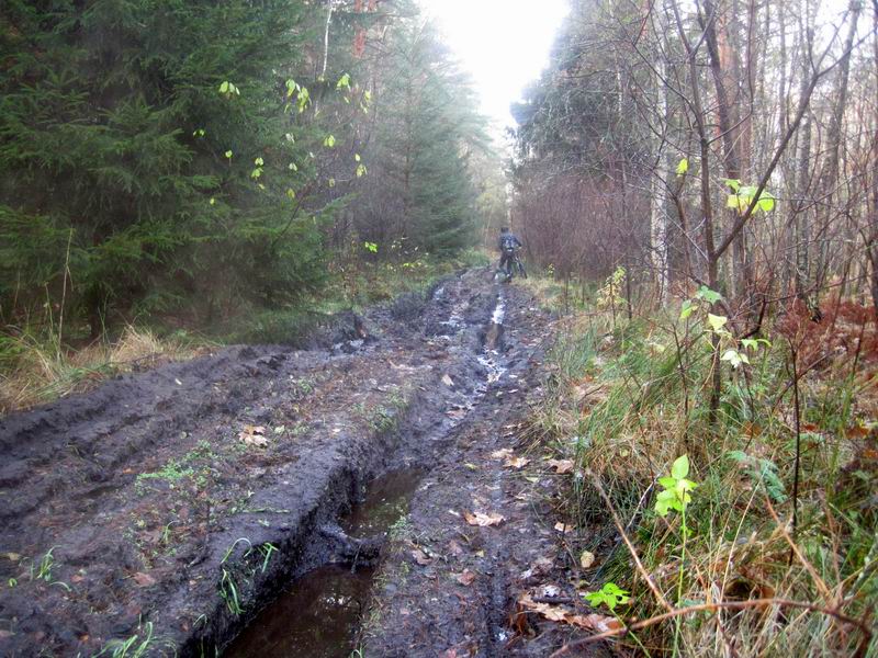 Участок дороги с гуаномесным покрытием