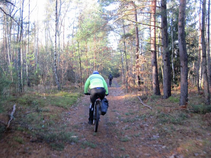 Едем по Приморскому лесу