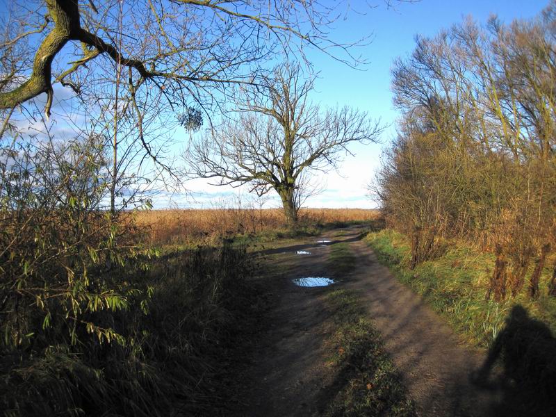 Выехали из Балтийского леса