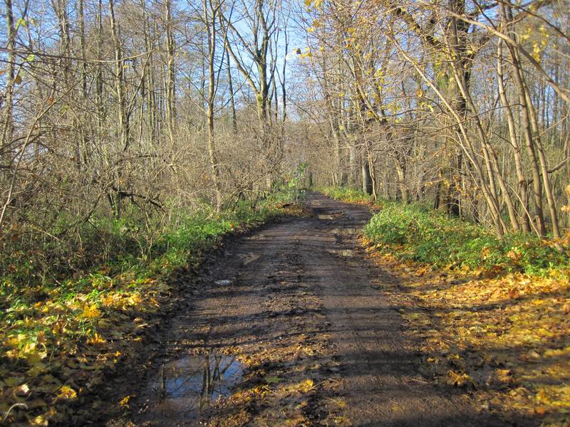 Наша дорога