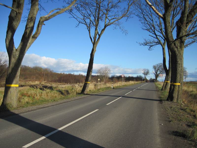 Слева идёт строительство велодорожки 'От косы до косы'