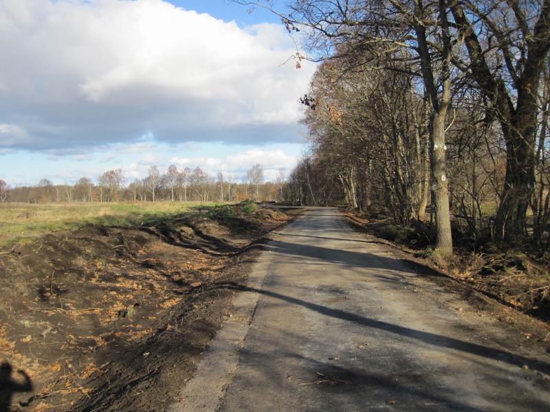 Едем по велодорожке