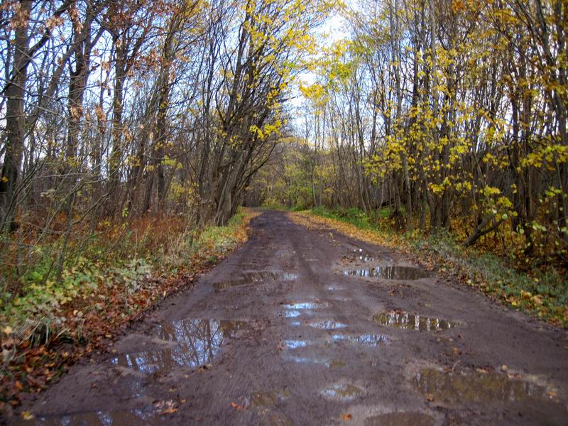 Свернули на Поваровку