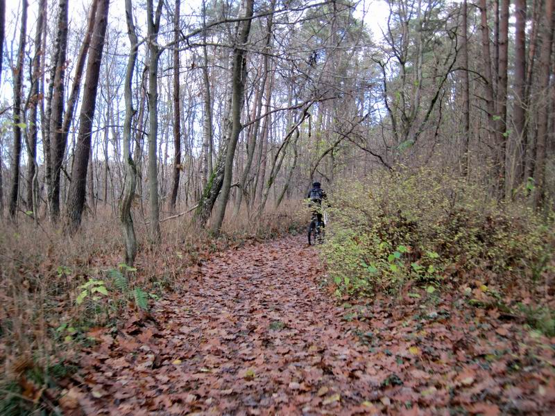 Едем мимо красивого болота (слева)