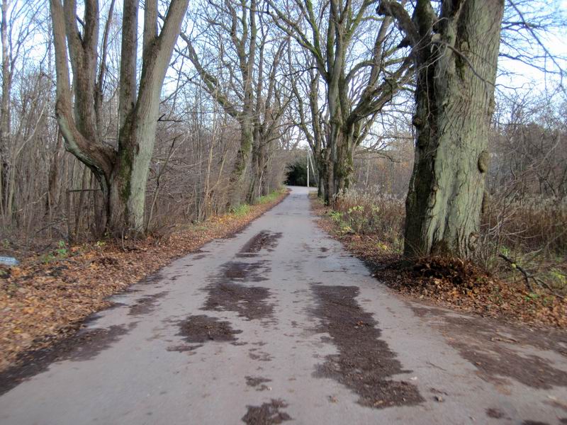 Появился асфальт