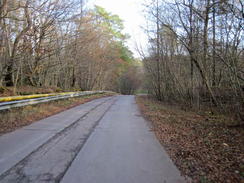 Спуск в долину реки Светлогорки