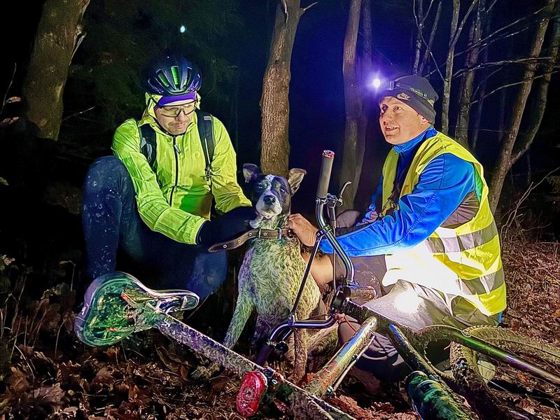 Собака Анастасии Франц нашлась!