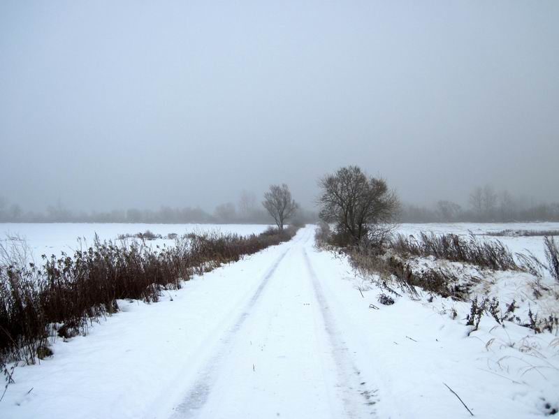 Наша дорога