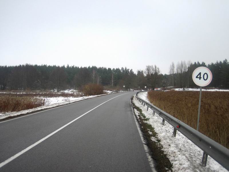 Подъезжаем к лесу перед Гвардейском