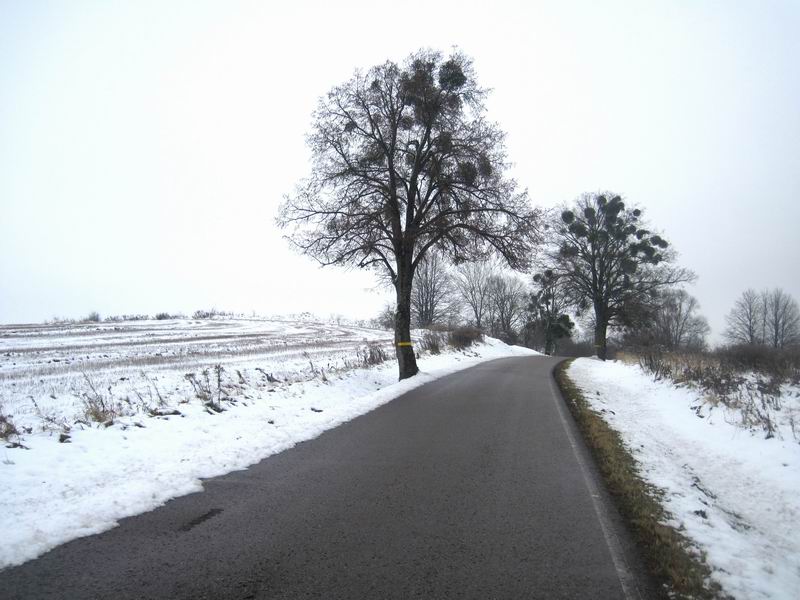 Дорога идёт по холмам