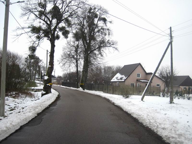 Приехали в Зорино