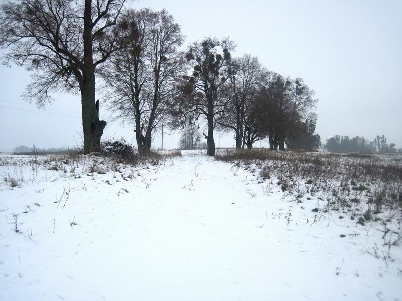 Наша дорога не накатана