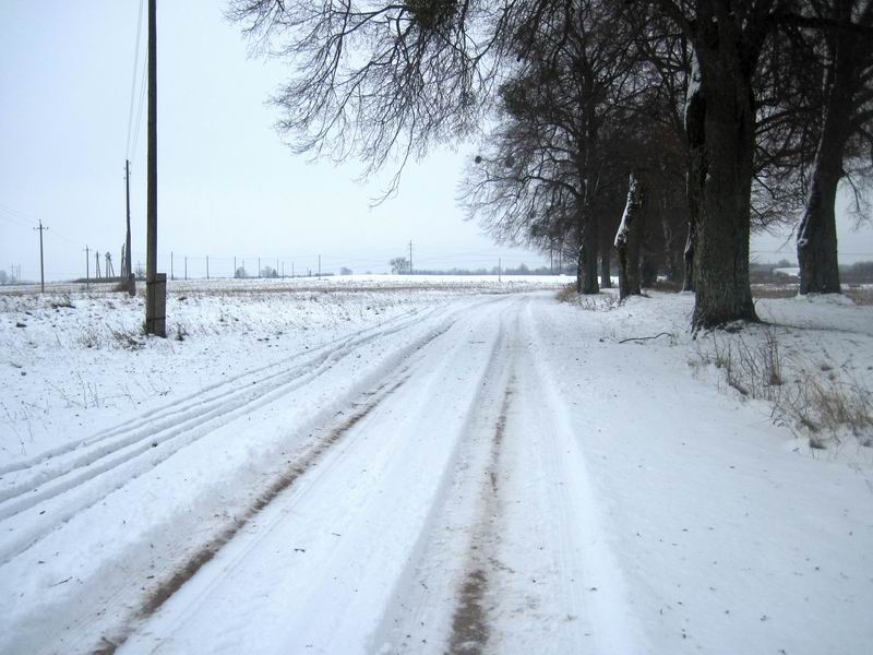 Приятная дорога по полю