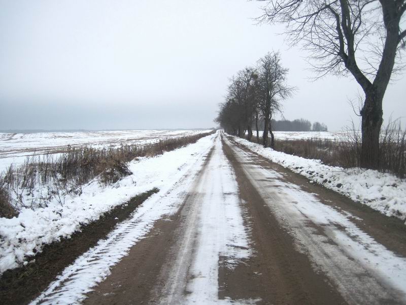 Дорога Большие Горки - Красный Яр