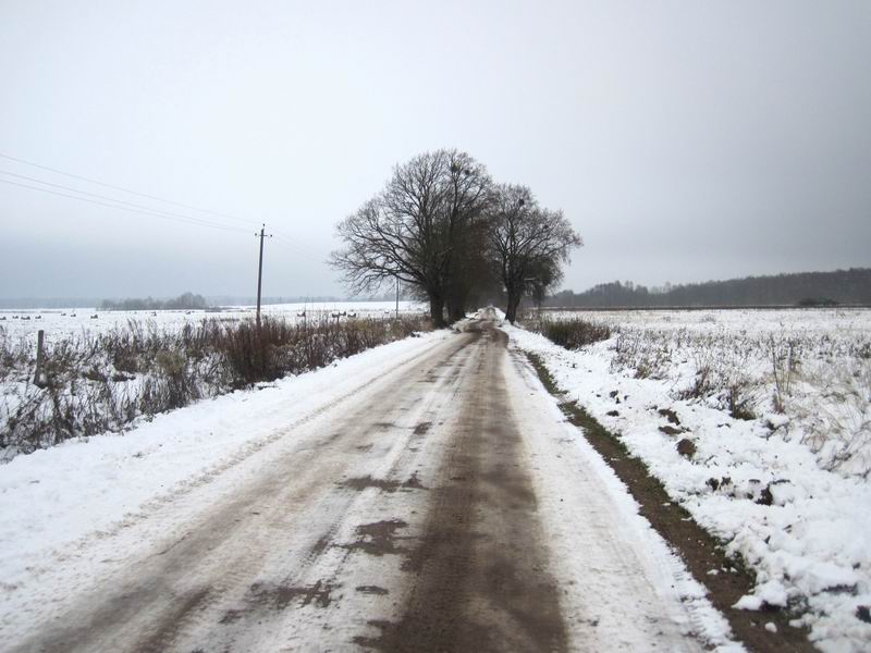 Снова свернули на грунты