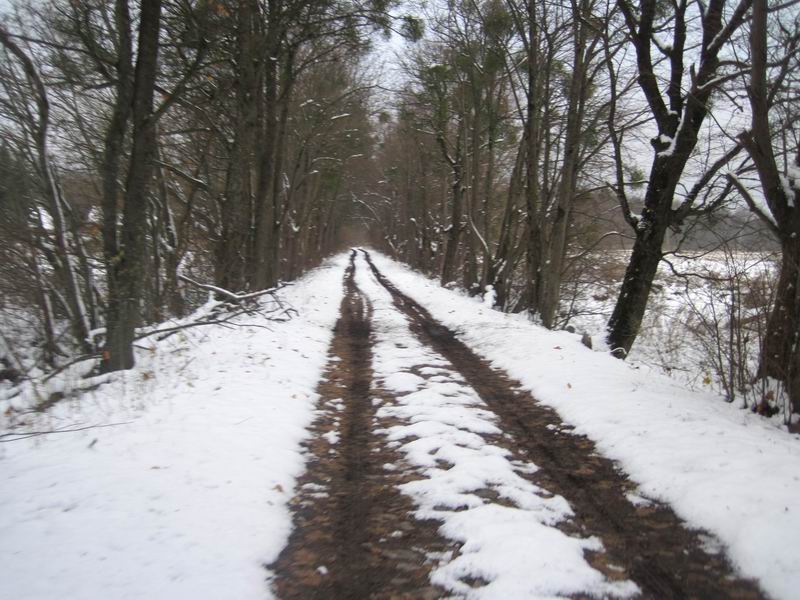 Брусчатка под снегом