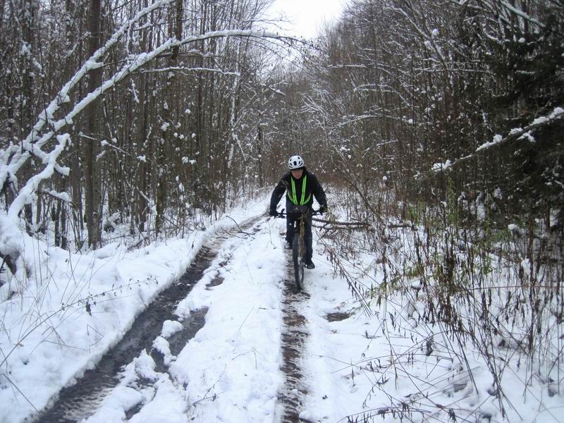 Гаврил Зыков едет по лесу