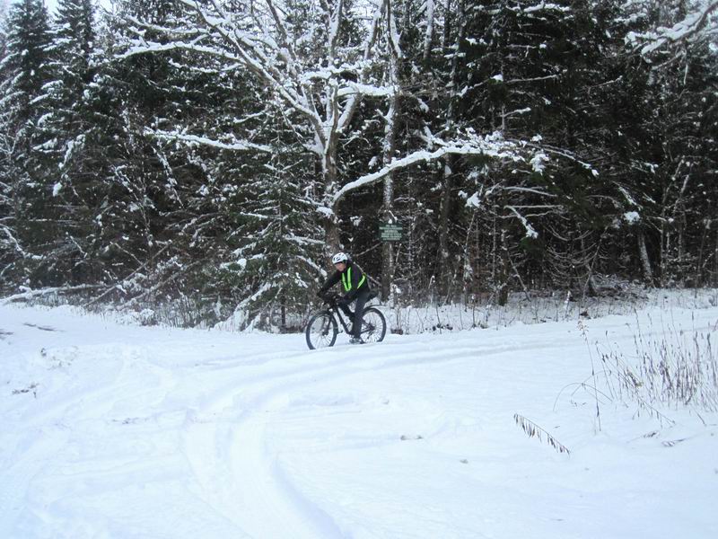 Лесной перекрёсток
