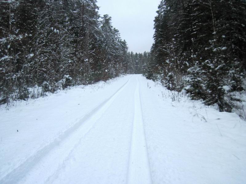 Наша дорога