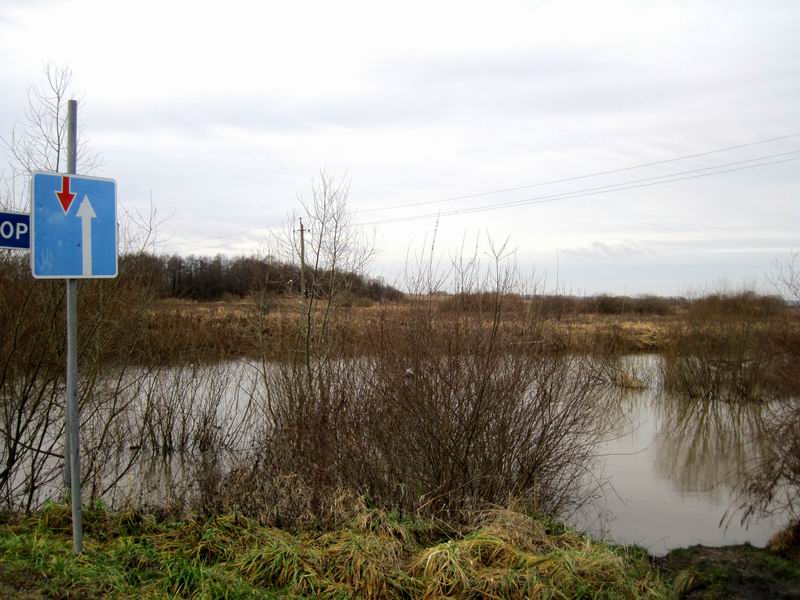 Разлив реки Прохладной