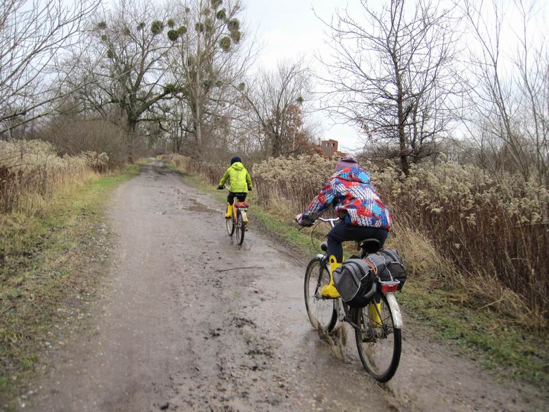 Едем по грунтовке