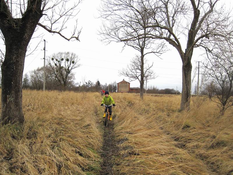 Едем по тропинке