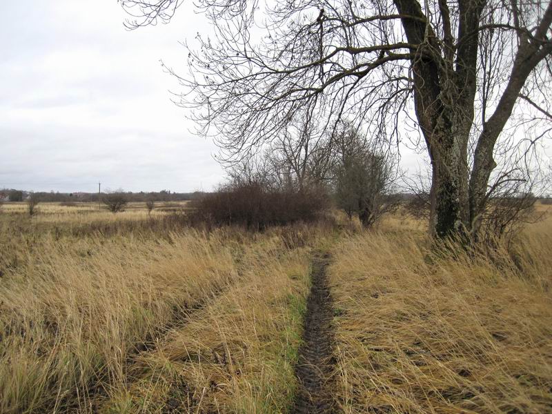 Наша дорога