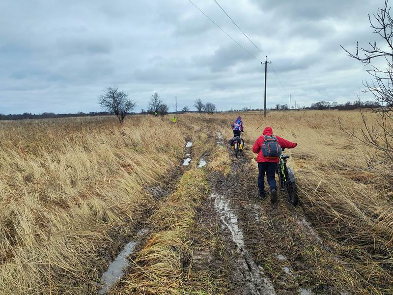 По смачному гуаномесу