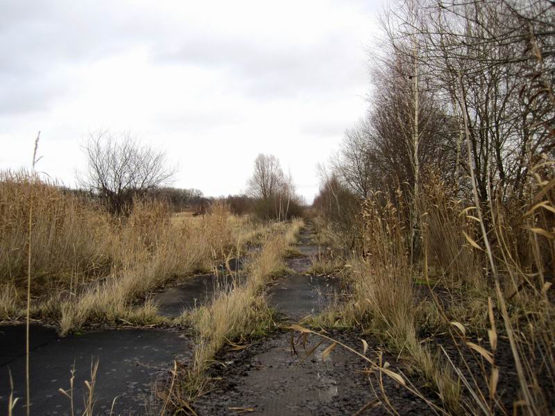 Едем по ней