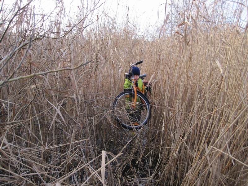Что-то тут совсем всё заросло