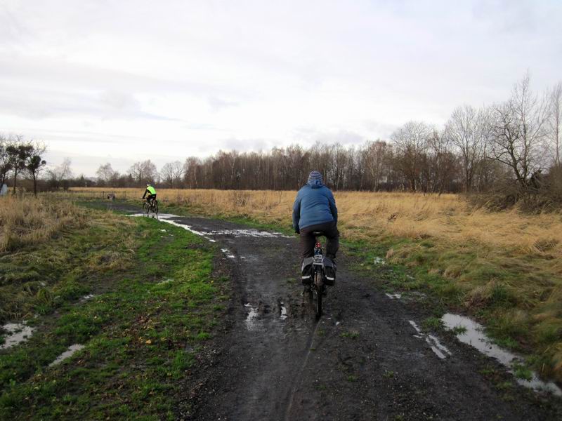 Выезжаем на очередной гуаномесный участок