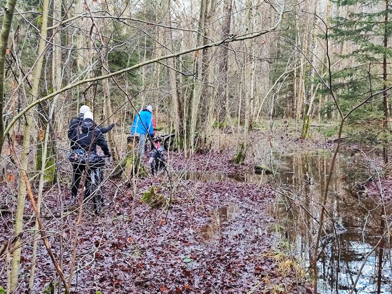 Движемся по лесу к месту привала