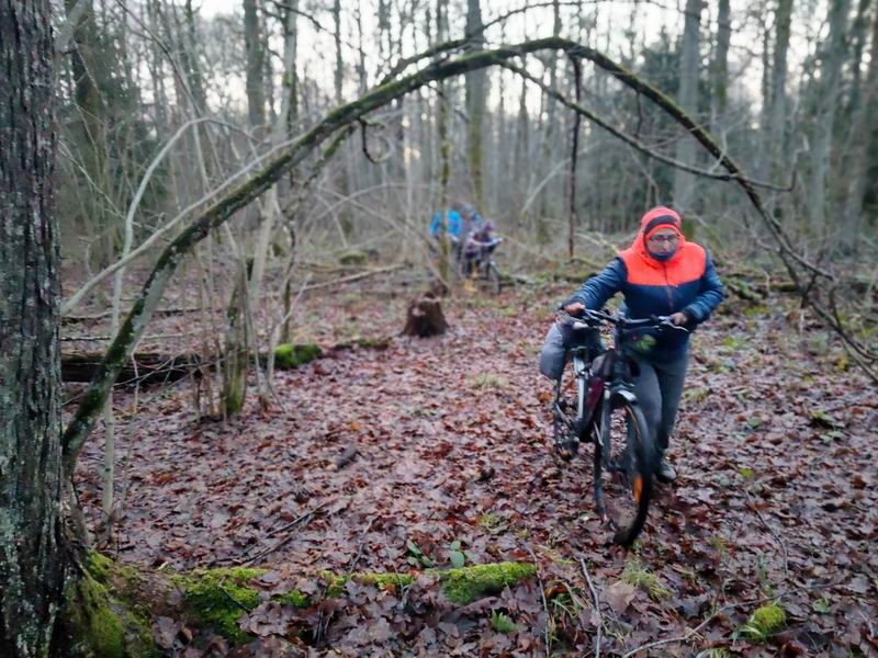 Пешка по лесу