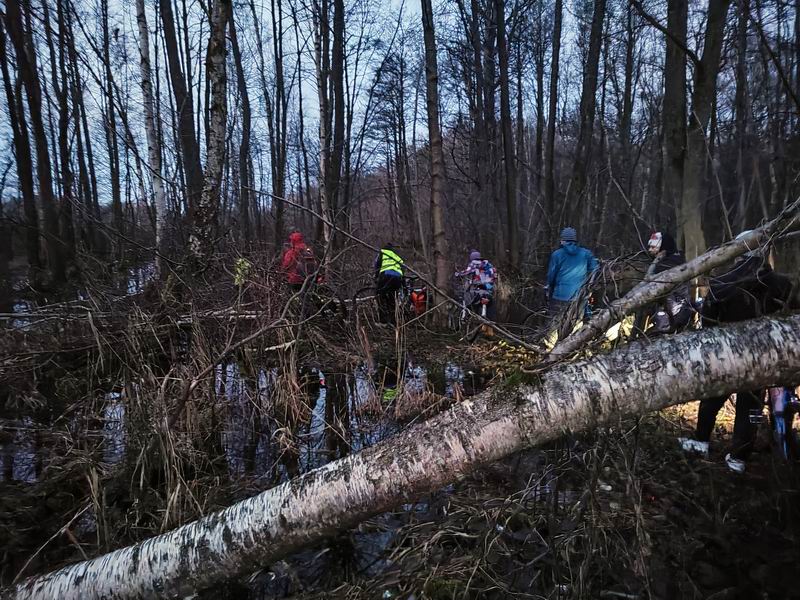 Выход из леса оказался затопленным