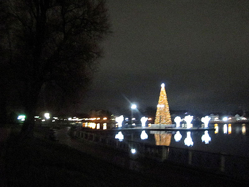 Проезжаем мимо ёлки на Верхнем озере