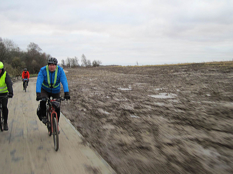 Проезжаем близ Путилово. Вокруг велодорожки поля гуаномеса, а раньше здесь рос борщевик