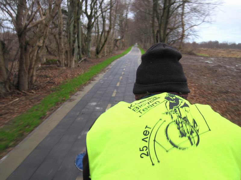 Едем по красивой аллее