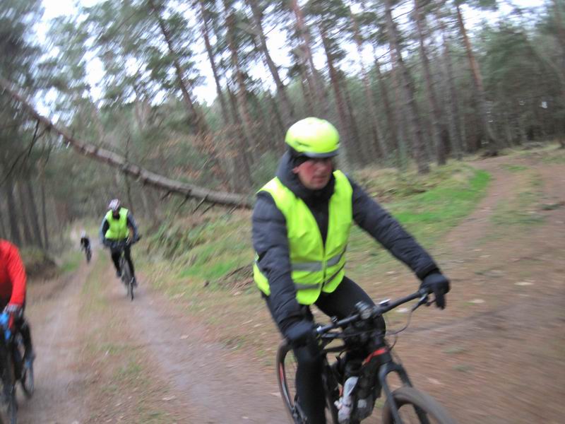 В Покровском лесу велодорожка ещё не сделана, но тут итак грунтовки классные