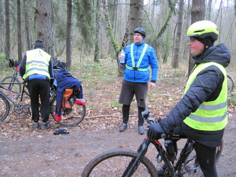 Санитарная остановка в лесу